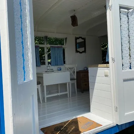 Little Blue House